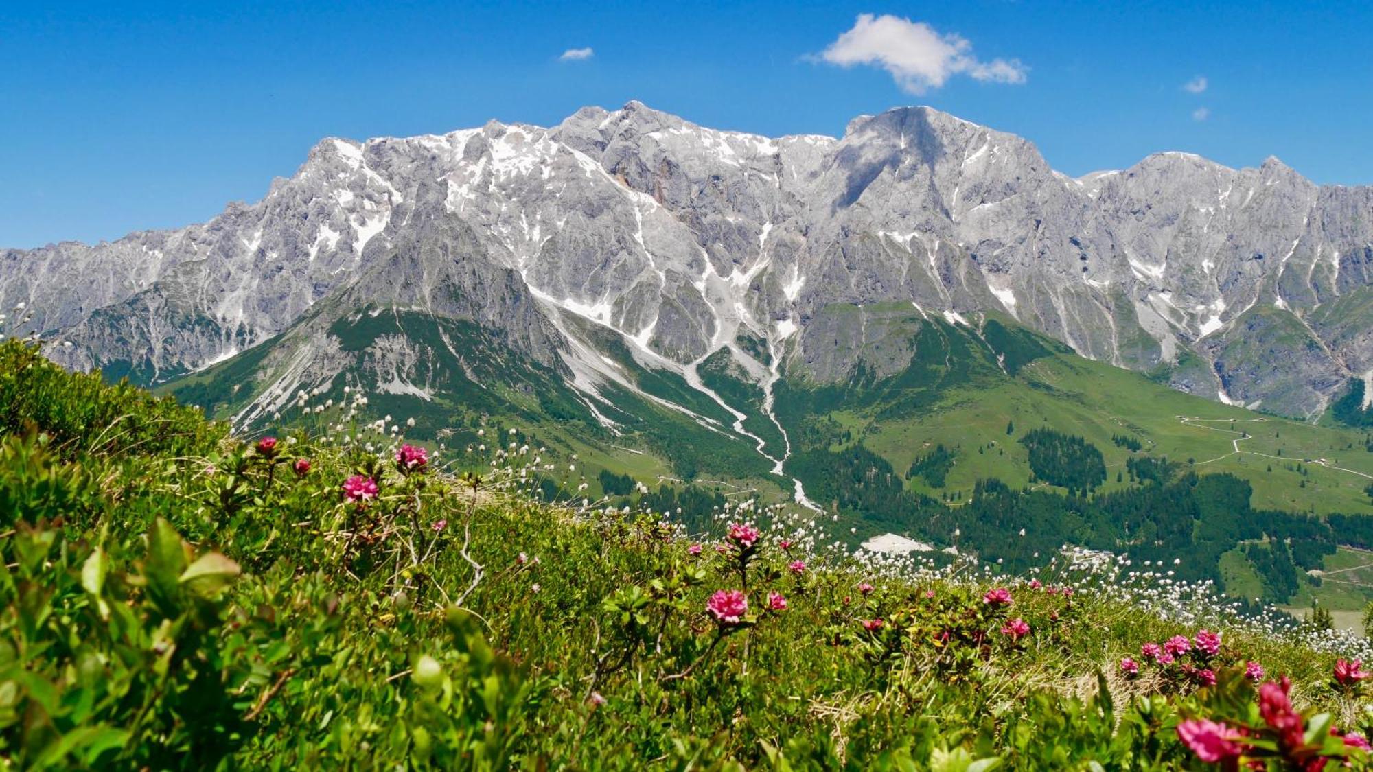 Apartmán Landhaus Rieding Mühlbach am Hochkönig Exteriér fotografie