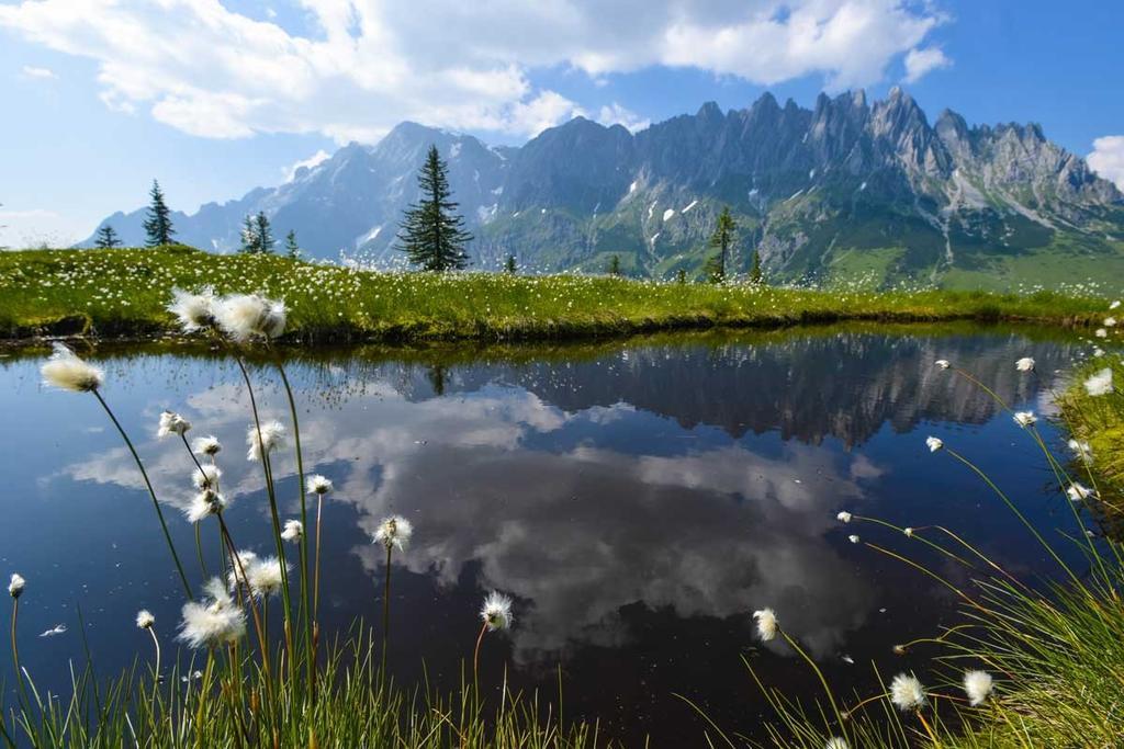 Apartmán Landhaus Rieding Mühlbach am Hochkönig Exteriér fotografie