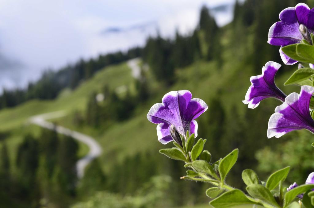 Apartmán Landhaus Rieding Mühlbach am Hochkönig Exteriér fotografie