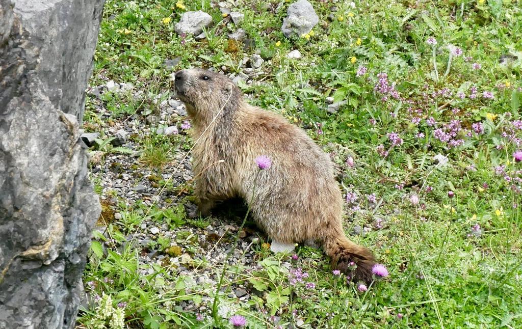 Apartmán Landhaus Rieding Mühlbach am Hochkönig Exteriér fotografie